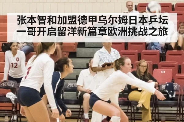 张本智和加盟德甲乌尔姆日本乒坛一哥开启留洋新篇章欧洲挑战之旅