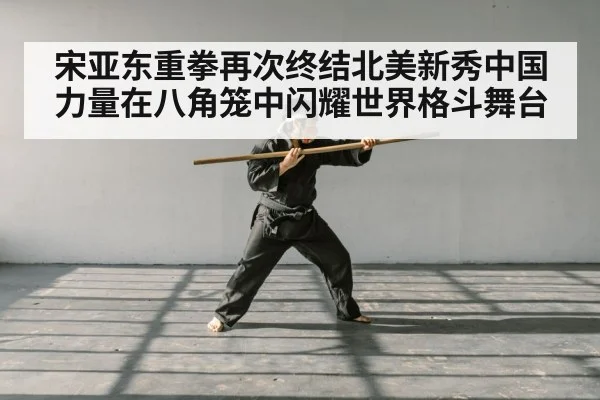 宋亚东重拳再次终结北美新秀中国力量在八角笼中闪耀世界格斗舞台